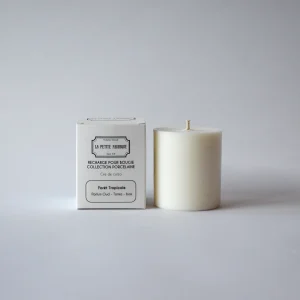 La petite fabrique – Recharge bougie porcelaine – Forêt Tropicale