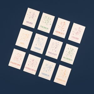 La fabrique à sachets – Signe Astro